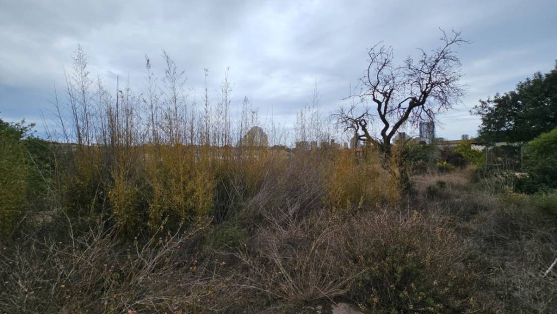 Sale - Country House - Calpe - Calpe Centro