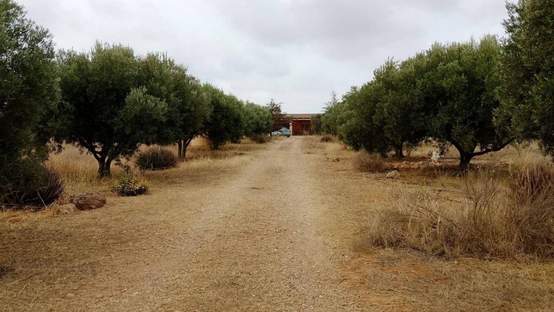 Sale - Country House - Cartagena - La Magdalena