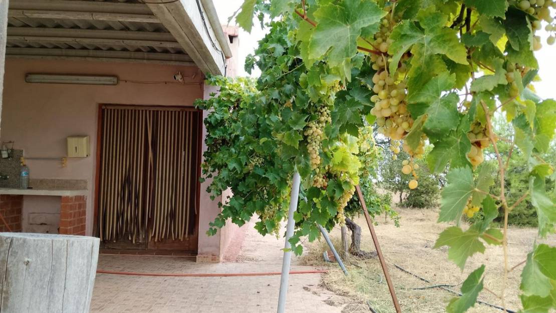 Sale - Country House - Cartagena - La Magdalena