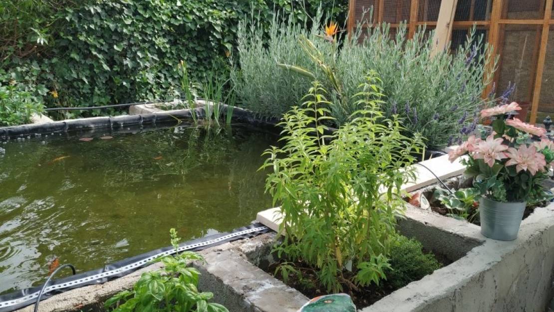 Sale - Country House - Crevillente - Crevillent - Crevillente - Crevillent Centro