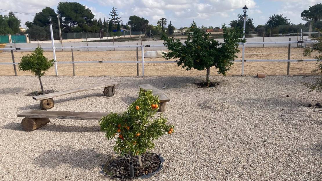 Sale - Country House - Crevillente - Crevillent - Crevillente - Crevillent Centro