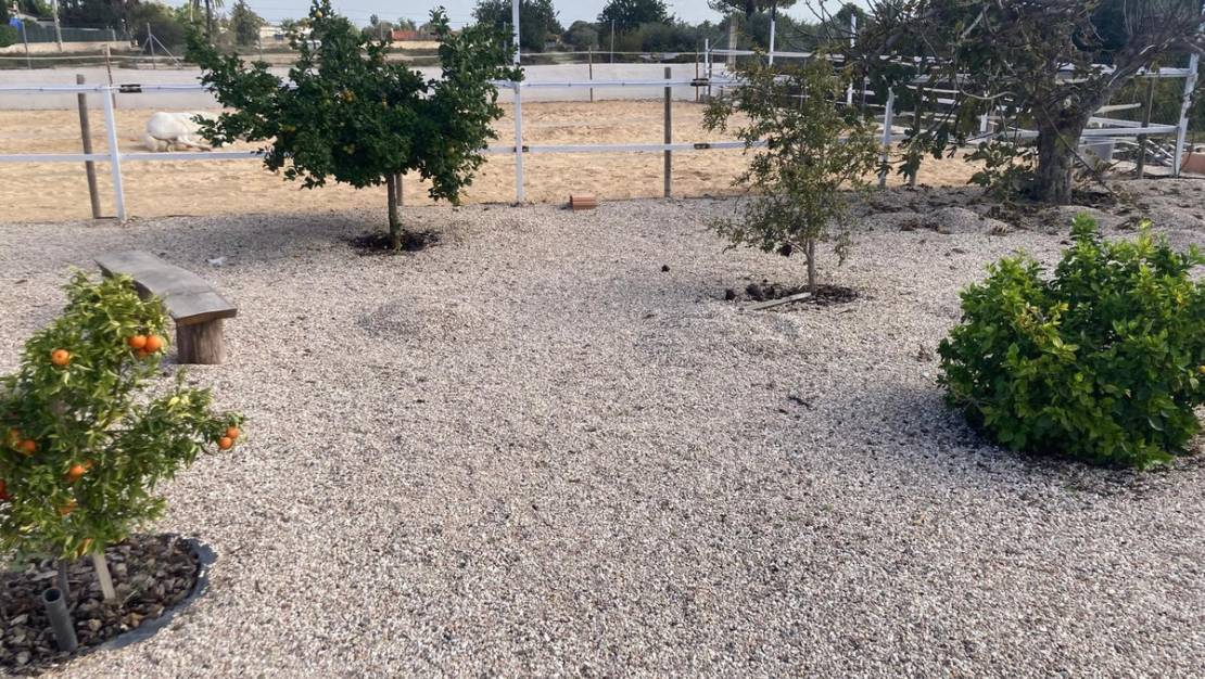 Sale - Country House - Crevillente - Crevillent - Crevillente - Crevillent Centro