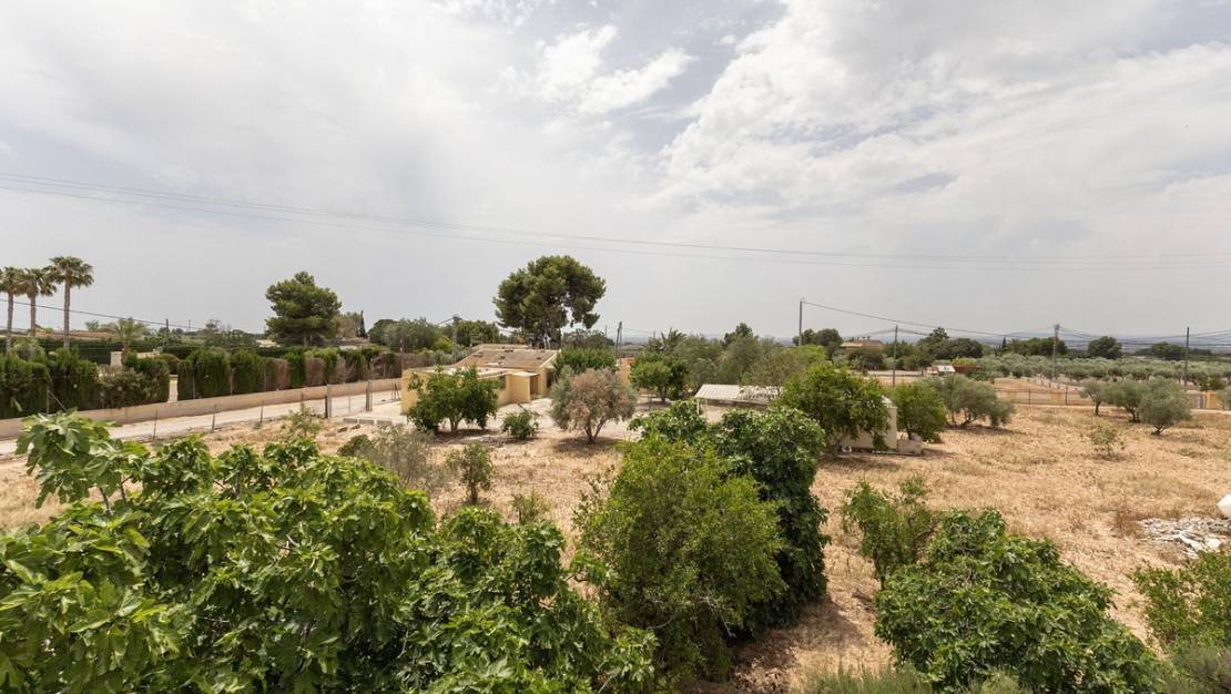 Sale - Country House - Crevillente - Crevillent - Crevillente - Crevillent Centro