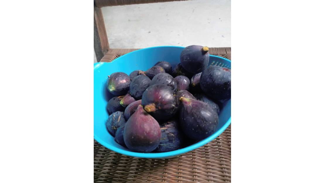 Sale - Country House - Dolores - Dolores Centro