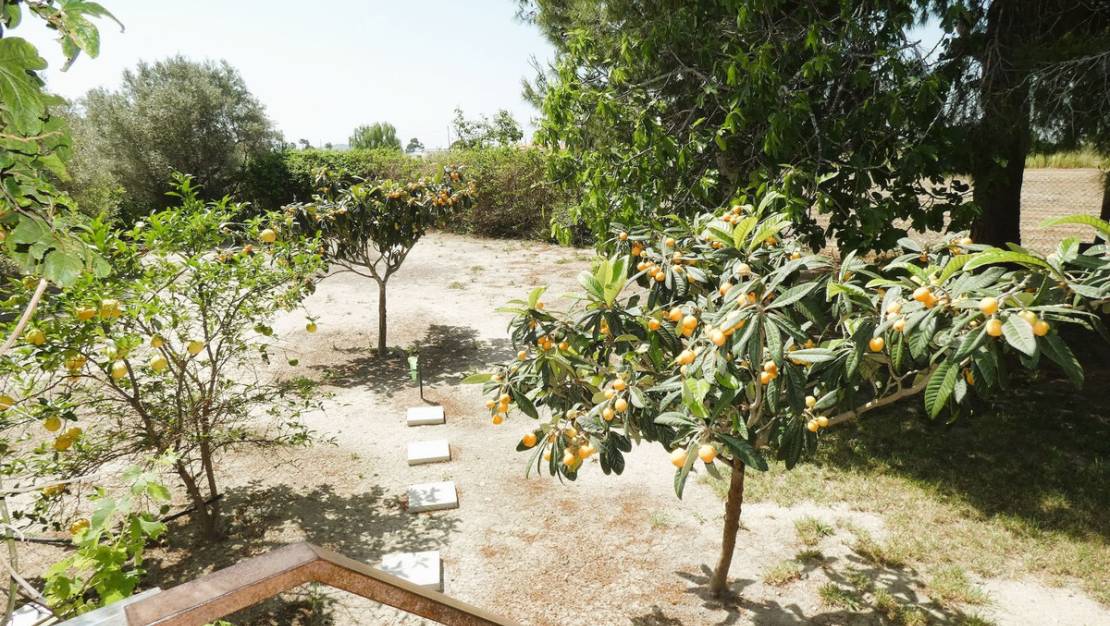 Sale - Country House - Dolores - Dolores Centro