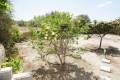 Sale - Country House - Dolores - Dolores Centro