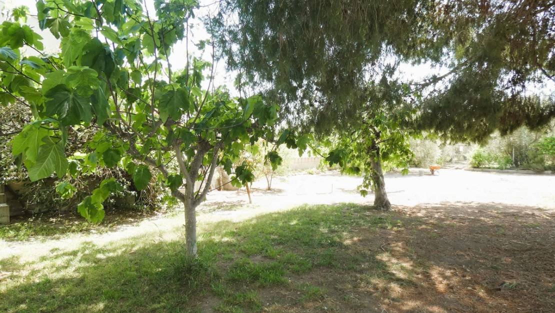 Sale - Country House - Dolores - Dolores Centro