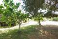 Sale - Country House - Dolores - Dolores Centro