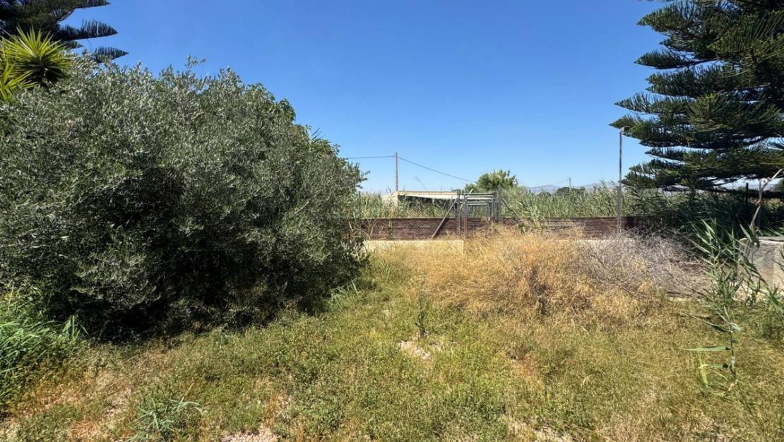 Sale - Country House - Dolores - Dolores Centro