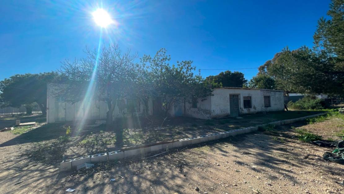 Sale - Country House - Elche - Elche Centro