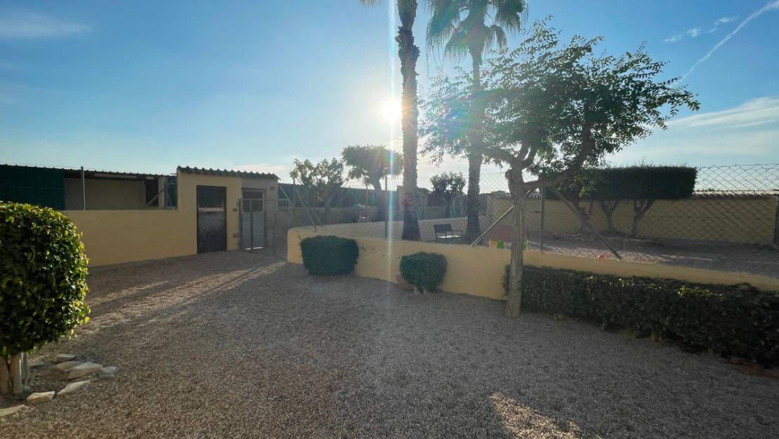 Sale - Country House - Elche - Las Bayas