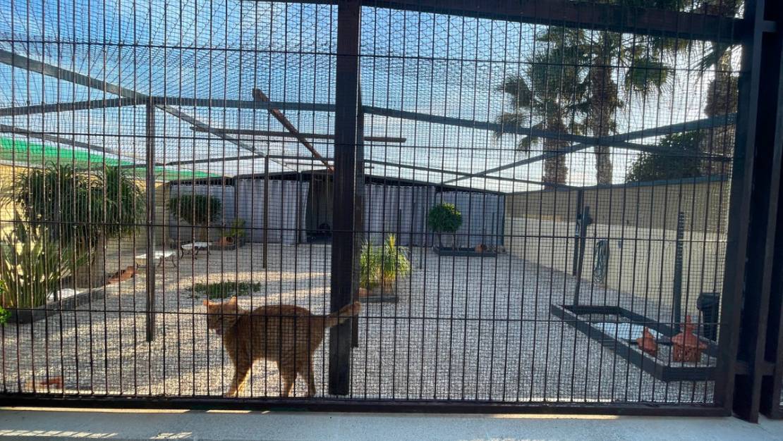 Sale - Country House - Elche - Las Bayas