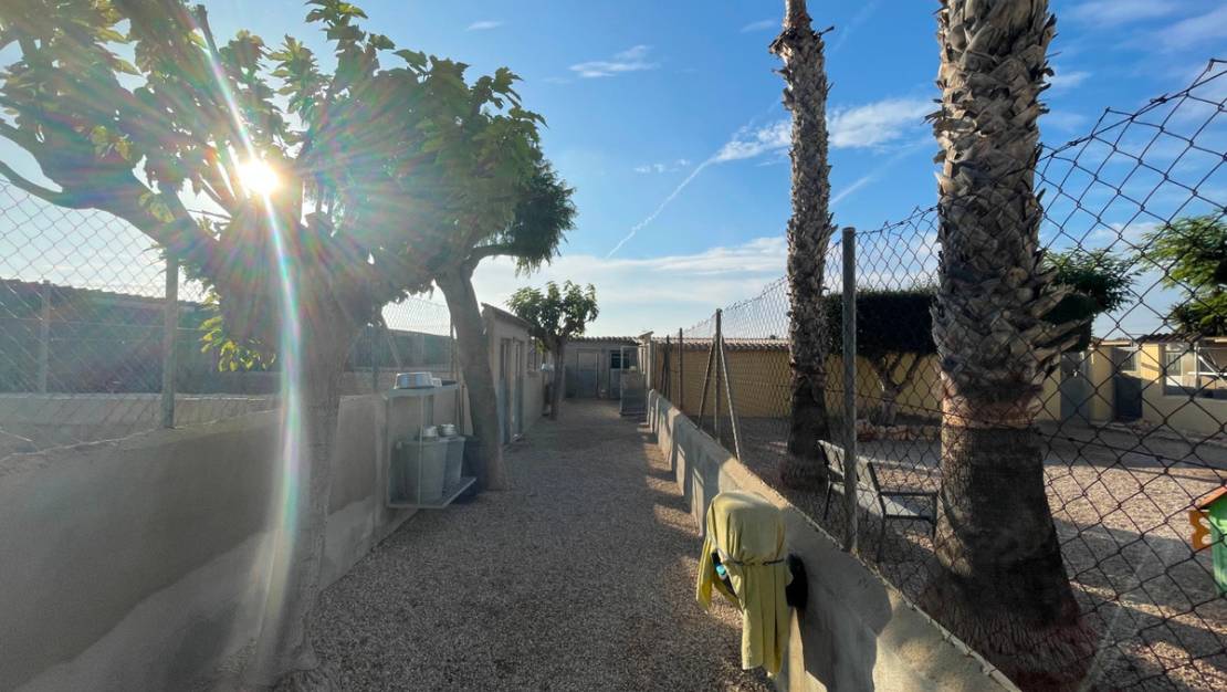 Sale - Country House - Elche - Las Bayas