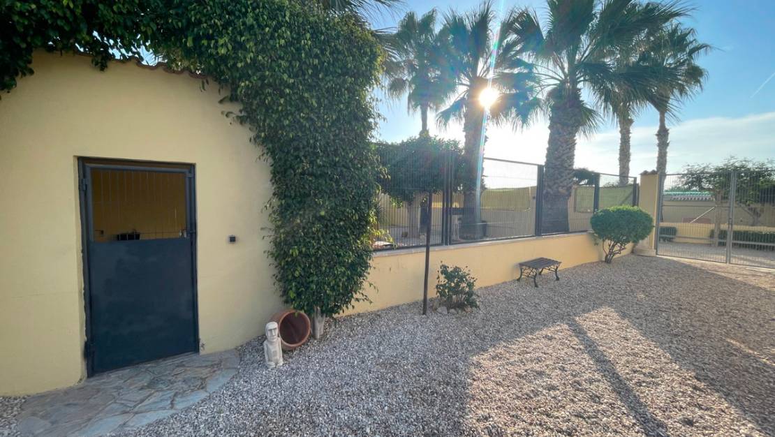 Sale - Country House - Elche - Las Bayas