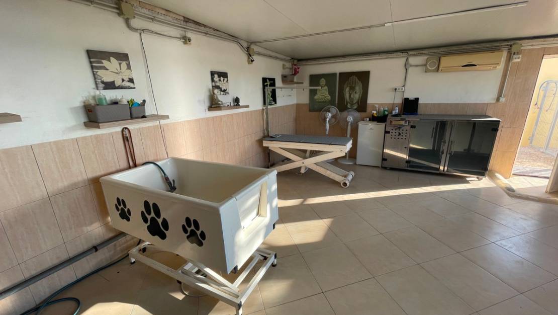 Sale - Country House - Elche - Las Bayas