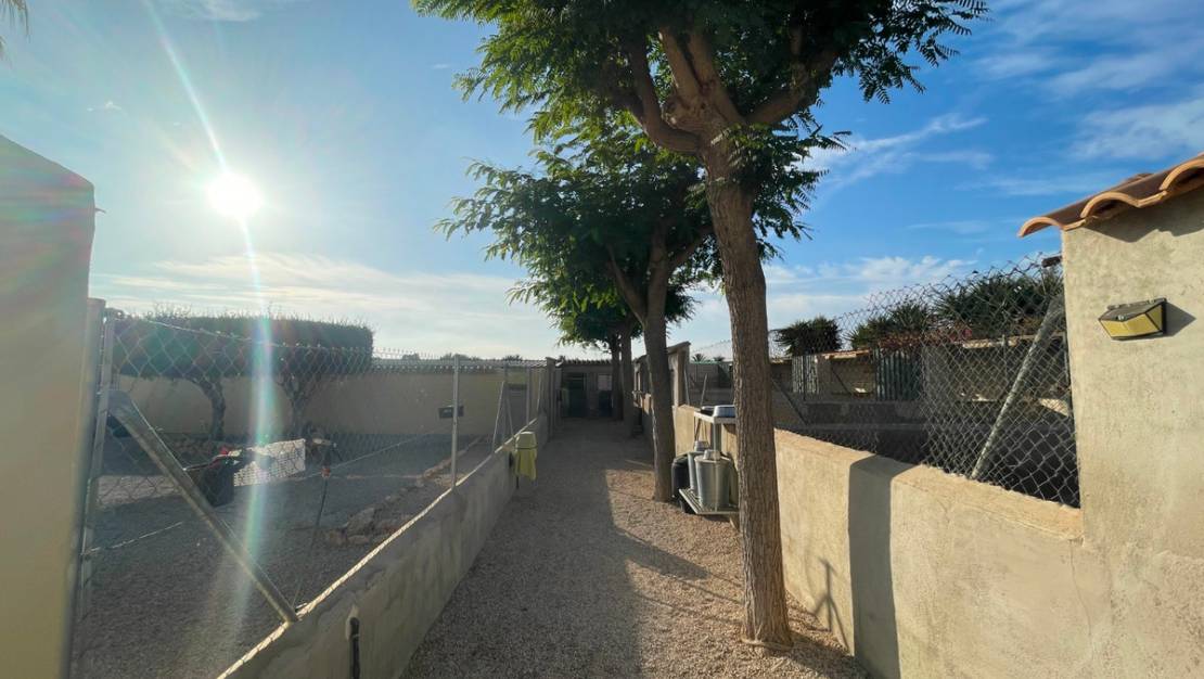 Sale - Country House - Elche - Las Bayas