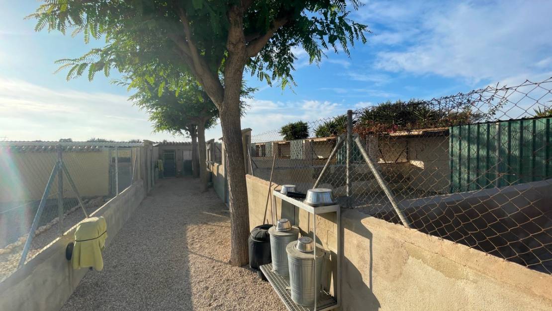 Sale - Country House - Elche - Las Bayas