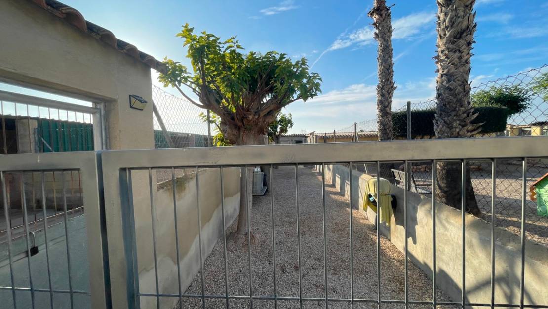 Sale - Country House - Elche - Las Bayas