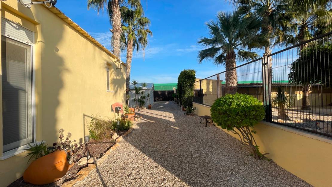 Sale - Country House - Elche - Las Bayas