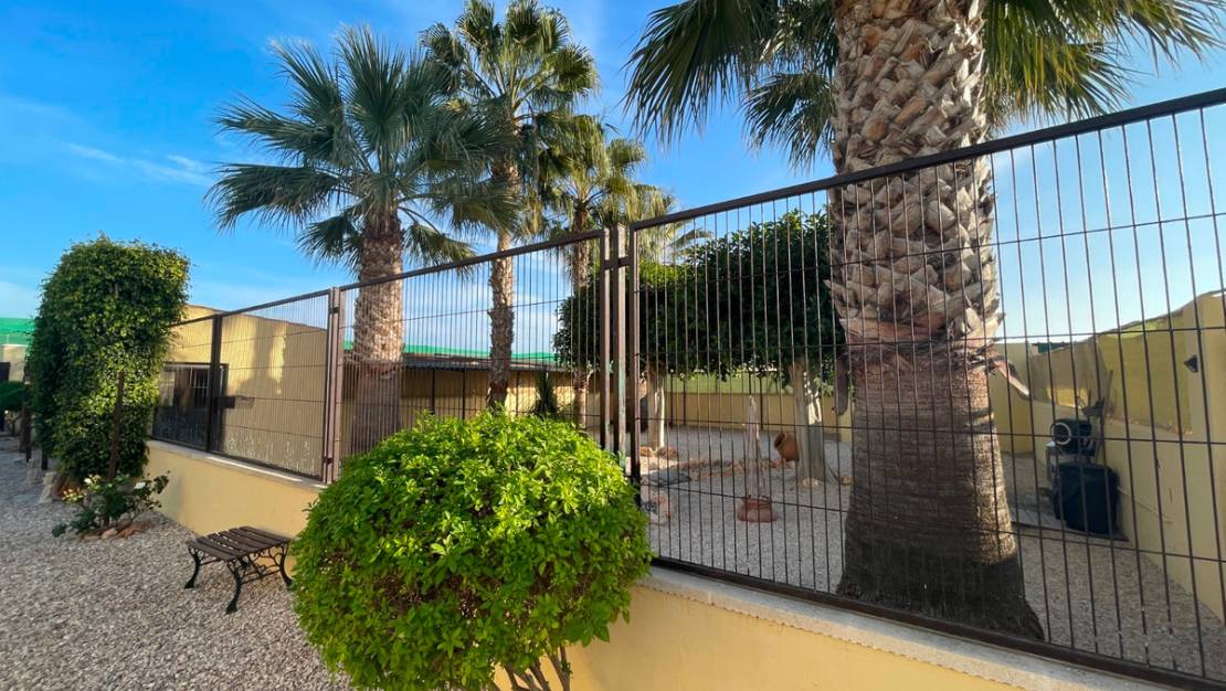 Sale - Country House - Elche - Las Bayas