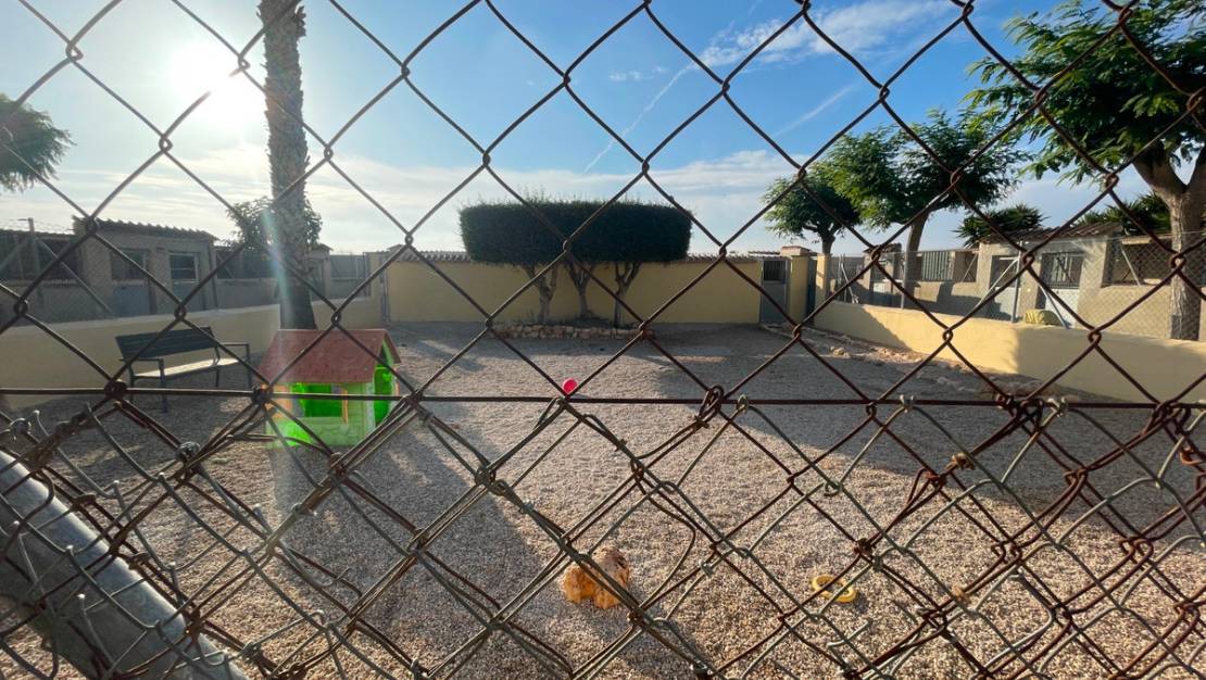 Sale - Country House - Elche - Las Bayas