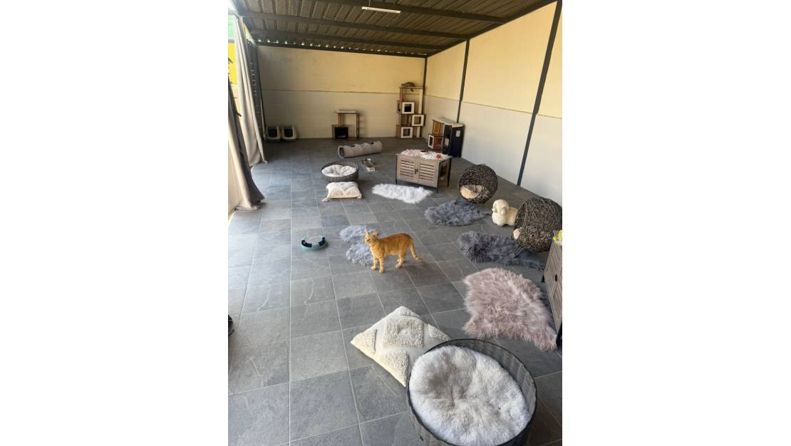 Sale - Country House - Elche - Las Bayas