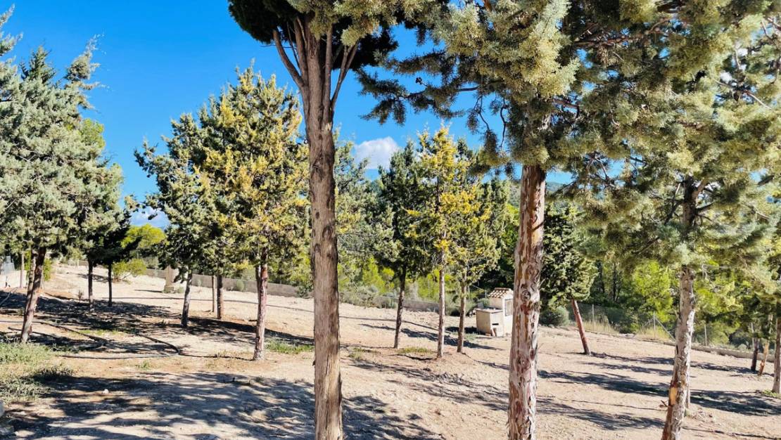 Sale - Country House - Jijona - Jijona Centro