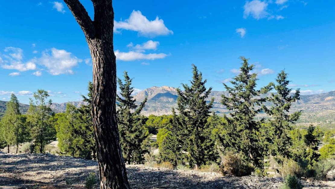 Sale - Country House - Jijona - Jijona Centro