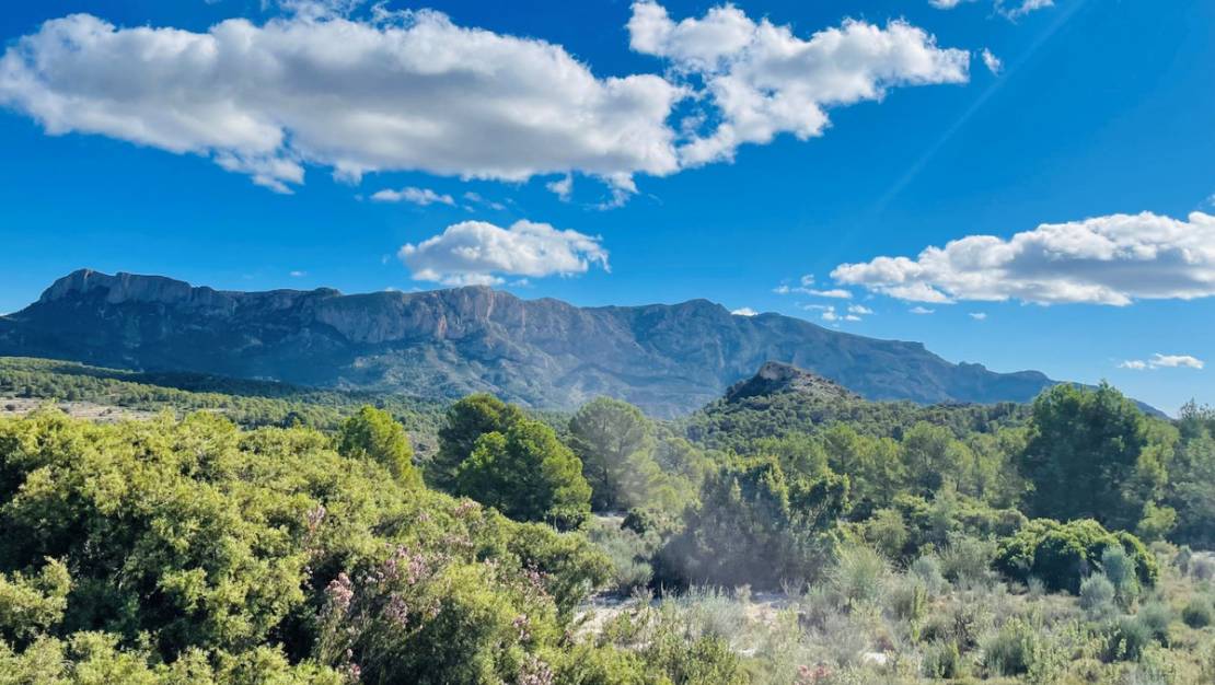 Sale - Country House - Jijona - Jijona Centro