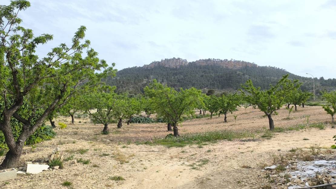 Sale - Country House - Jumilla - Jumilla Centro