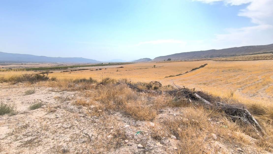 Sale - Country House - Jumilla - Jumilla Centro