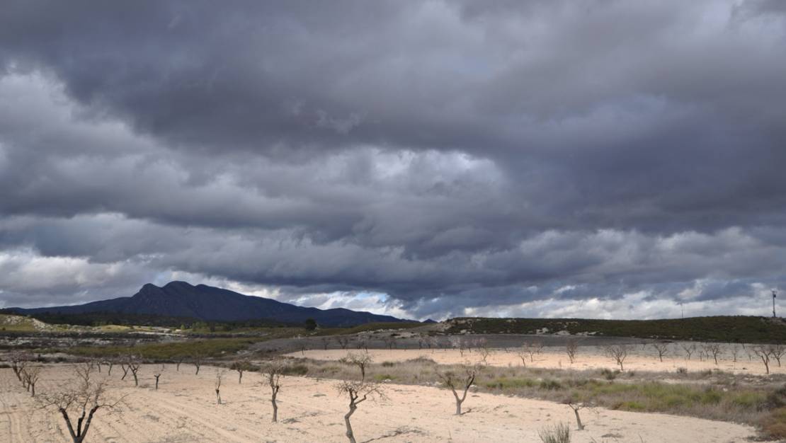 Sale - Country House - Jumilla - Jumilla Centro