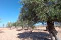 Sale - Country House - Jumilla - Jumilla Centro