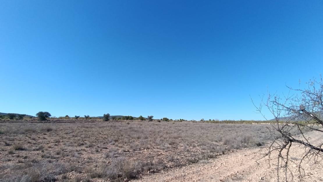 Sale - Country House - Jumilla - Jumilla Centro