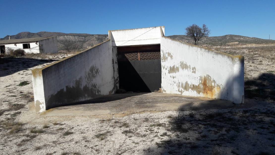 Sale - Country House - Jumilla - Torre Del Rico