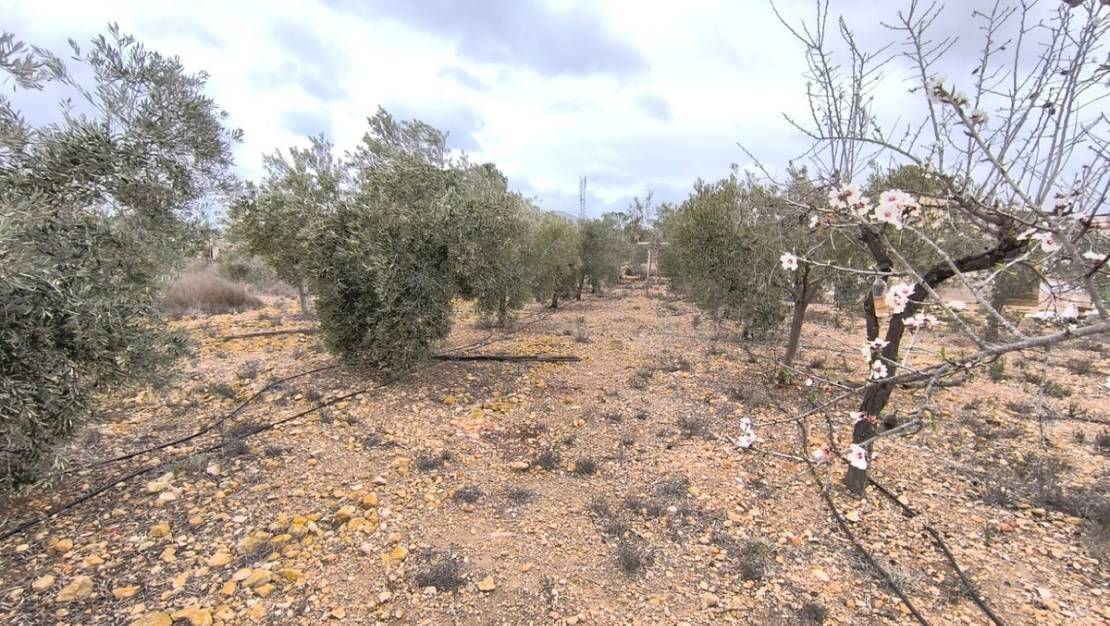 Sale - Country House - La Romana - La Romana Centro