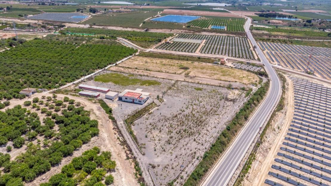 Sale - Country House - Los Montesinos - Los Montesinos Centro