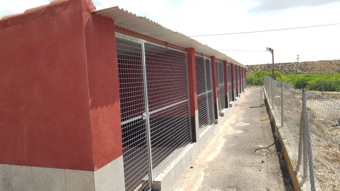 Sale - Country House - Los Montesinos - Los Montesinos Centro