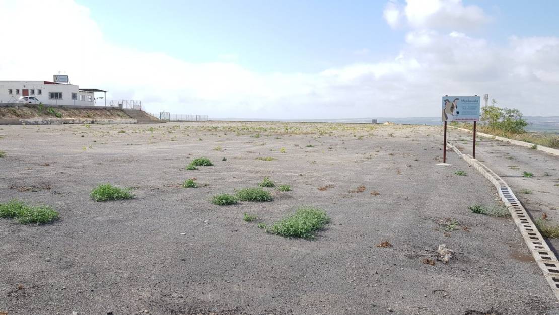 Sale - Country House - Los Montesinos - Los Montesinos Centro