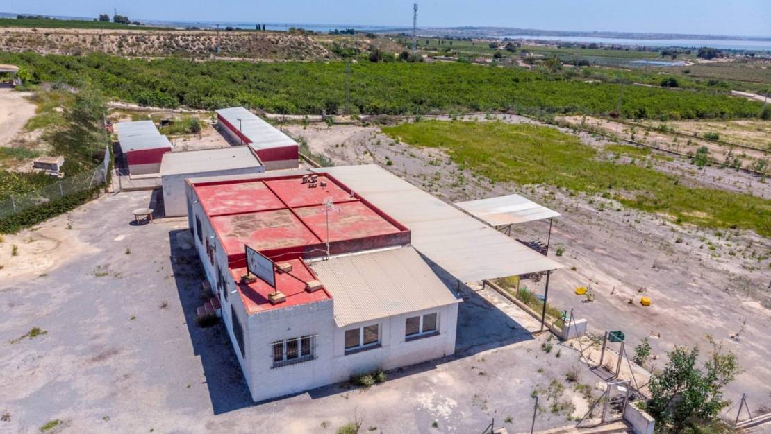 Sale - Country House - Los Montesinos - Los Montesinos Centro