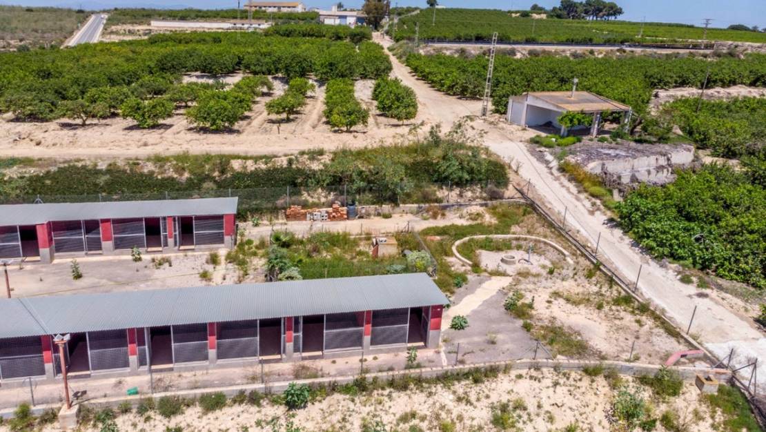 Sale - Country House - Los Montesinos - Los Montesinos Centro