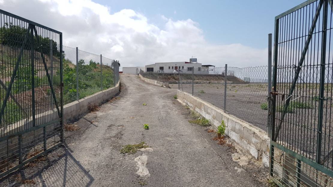 Sale - Country House - Los Montesinos - Los Montesinos Centro