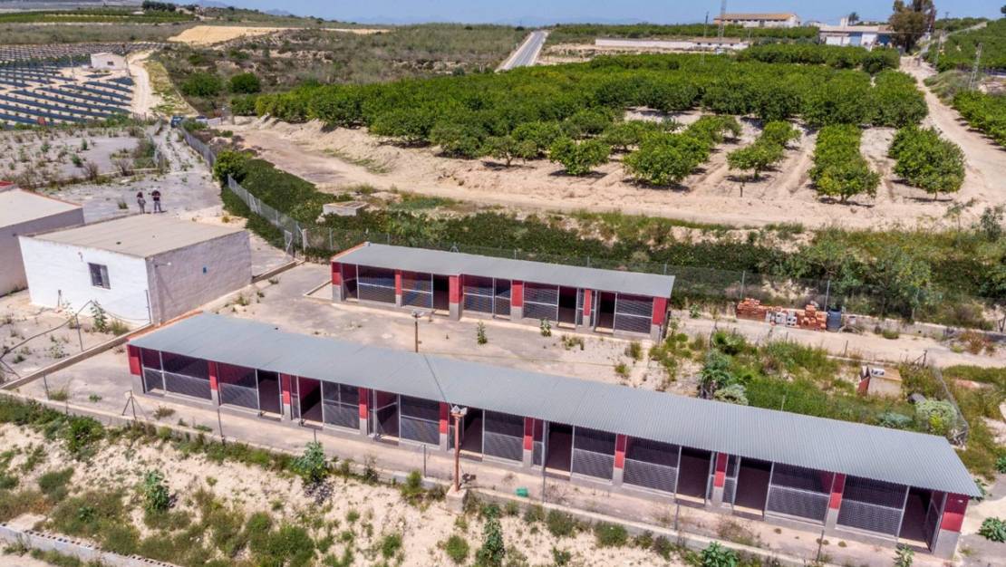 Sale - Country House - Los Montesinos - Los Montesinos Centro