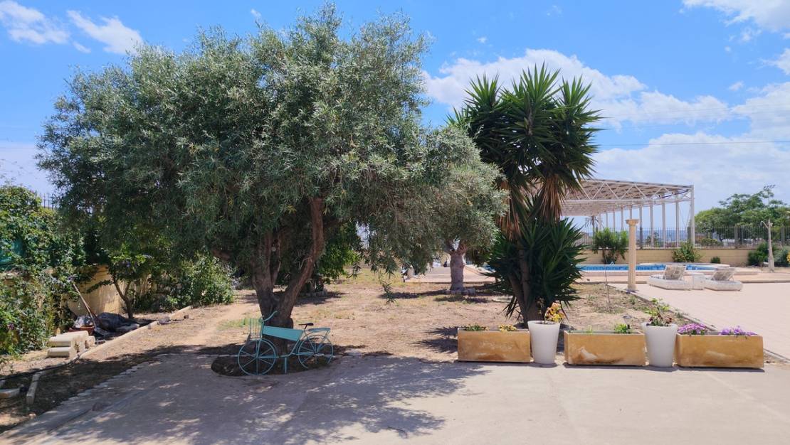 Sale - Country House - Los Montesinos - Los Montesinos Centro
