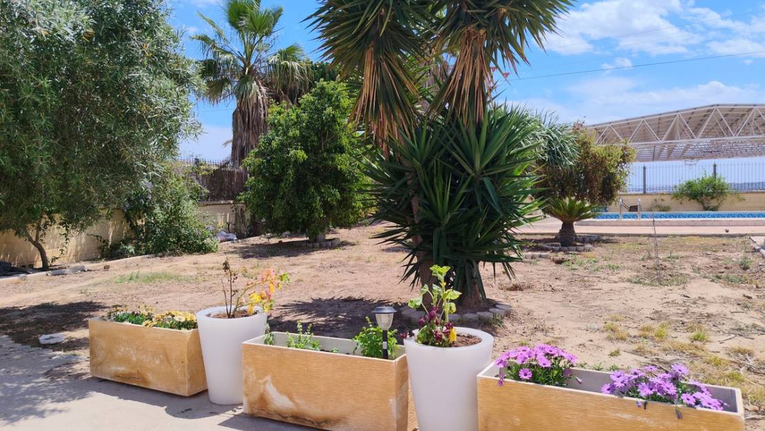 Sale - Country House - Los Montesinos - Los Montesinos Centro
