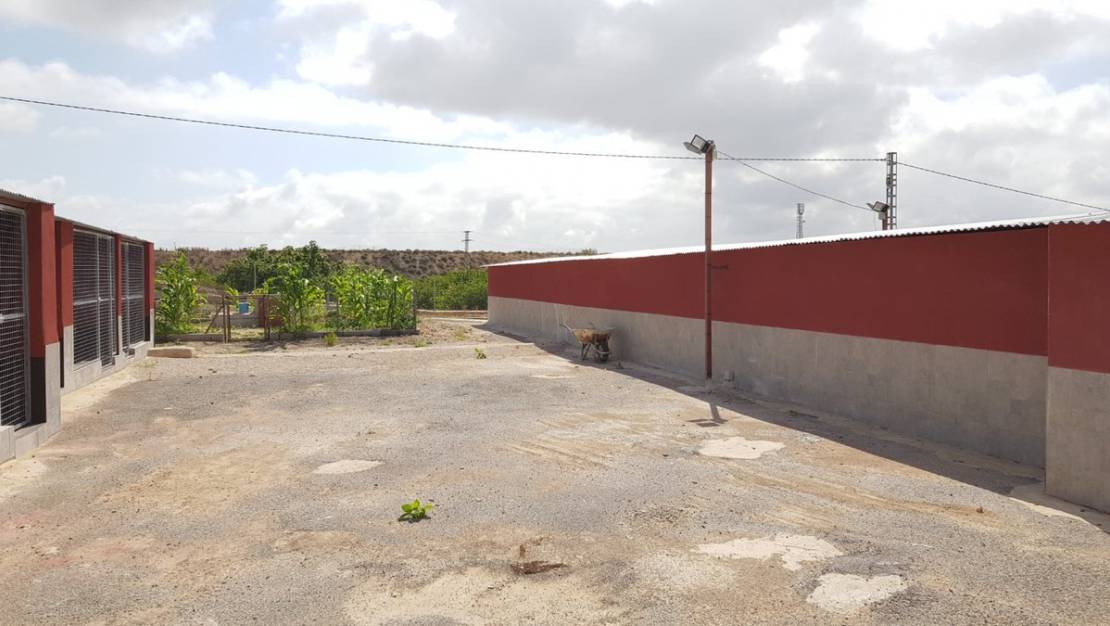 Sale - Country House - Los Montesinos - Los Montesinos Centro