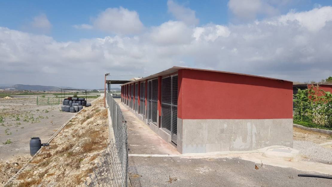 Sale - Country House - Los Montesinos - Los Montesinos Centro