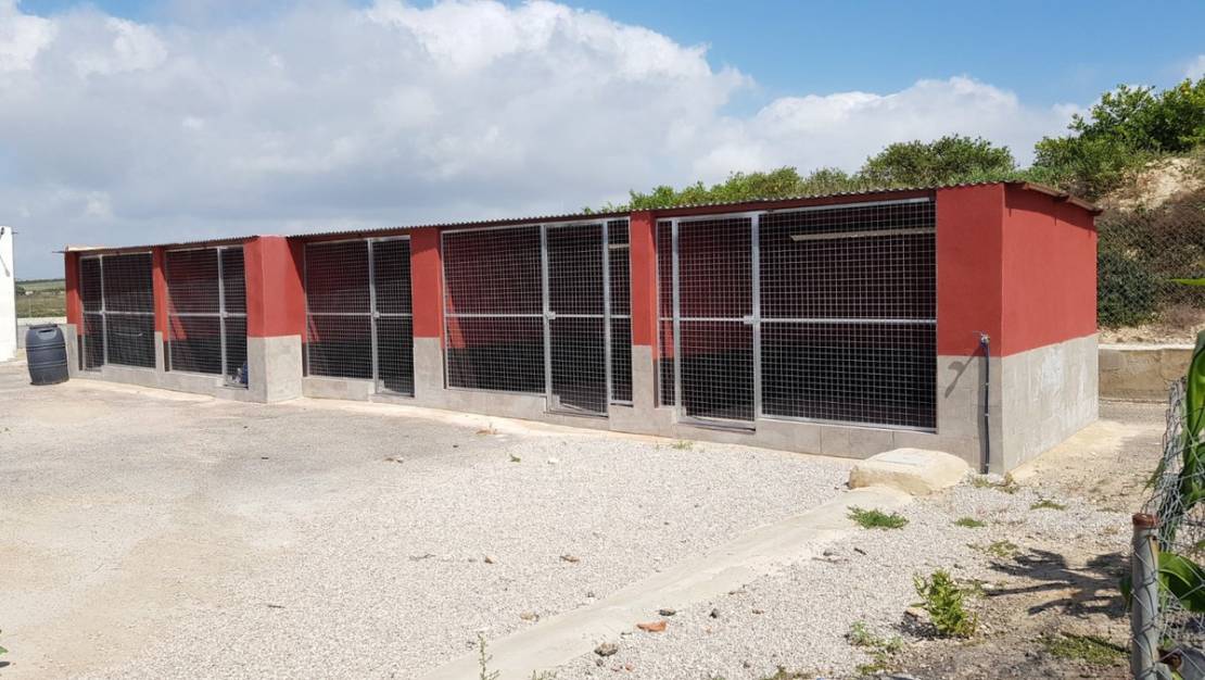 Sale - Country House - Los Montesinos - Los Montesinos Centro