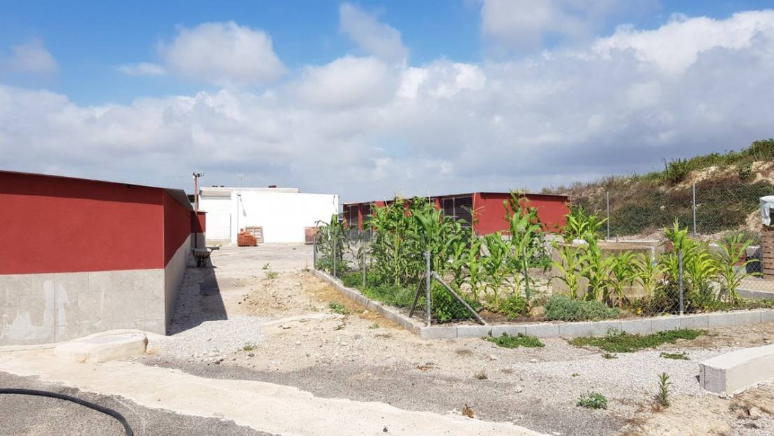 Sale - Country House - Los Montesinos - Los Montesinos Centro