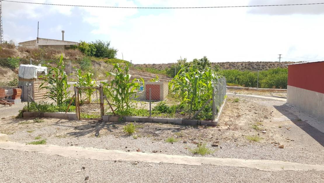 Sale - Country House - Los Montesinos - Los Montesinos Centro